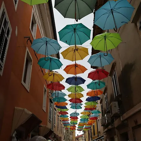 Studio-wohnung In Novigrad By Interhome * Novigrad Istria