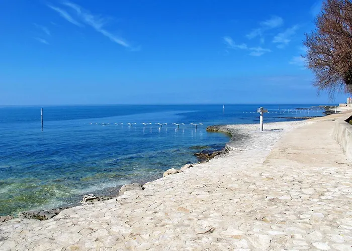 Studio-wohnung In Novigrad By Interhome * Novigrad Istria